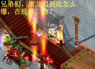 兄弟们，屠龙刀到底怎么爆，在线等，急？