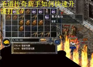 圣道传奇新手如何快速升级打宝？