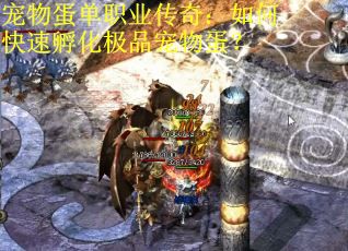 宠物蛋单职业传奇：如何快速孵化极品宠物蛋？