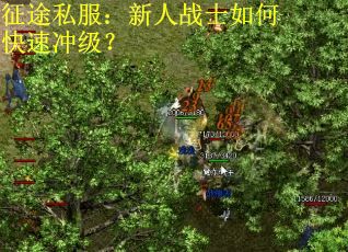 征途私服：新人战士如何快速冲级？