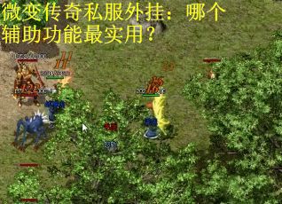 微变传奇私服外挂：哪个辅助功能最实用？