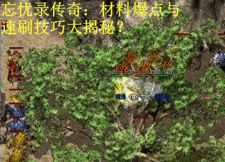 忘忧录传奇：材料爆点与速刷技巧大揭秘？