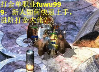 打金单职业fuwu999：新人如何快速上手，进阶打金大佬？