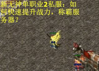 新无神单职业2私服:如何快速提升战力,称霸服务器?