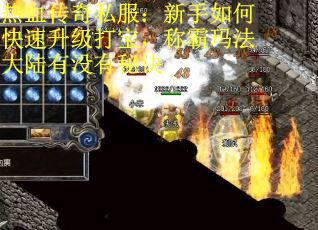 热血传奇私服:新手如何快速升级打宝,称霸玛法大陆有没有秘诀 热血传奇私服:新手如何快速升级打宝,称霸玛法大陆有没有秘诀