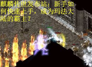 麒麟传世发布站：新手如何快速上手，成为玛法大陆的霸主？