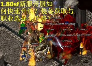 1.80sf新服开服如何快速升级？装备获取与职业选择全攻略？