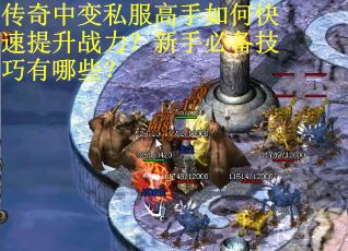 传奇中变私服高手如何快速提升战力？新手必备技巧有哪些？