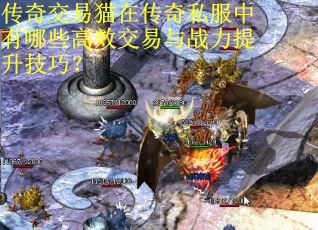 传奇交易猫在传奇私服中有哪些高效交易与战力提升技巧?