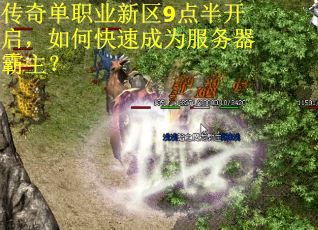 传奇单职业新区9点半开启,如何快速成为服务器霸主? 传奇单职业新区9点半开启,如何快速成为服务器霸主?