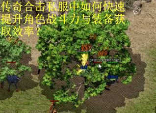 传奇合击私服中如何快速提升角色战斗力与装备获取效率?