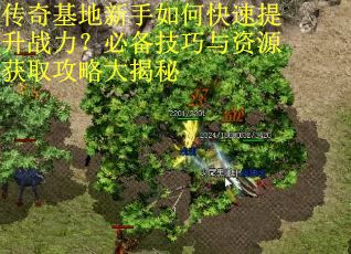 传奇基地新手如何快速提升战力？必备技巧与资源获取攻略大揭秘