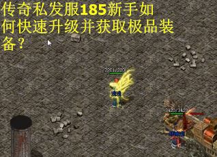 传奇私发服185新手如何快速升级并获取极品装备？