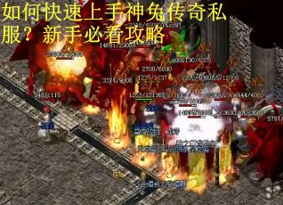 如何快速上手神兔传奇私服?新手必看攻略 如何快速上手神兔传奇私服?新手必看攻略