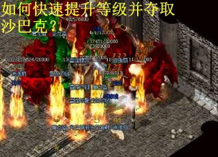 如何快速提升等级并夺取沙巴克?