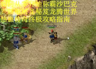 如何从零开始称霸沙巴克？新服屠龙秘笈龙腾世界热血传奇终极攻略指南