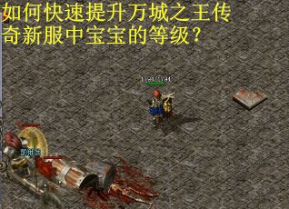 如何快速提升万城之王传奇新服中宝宝的等级？