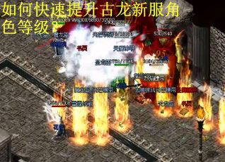 如何快速提升古龙新服角色等级？