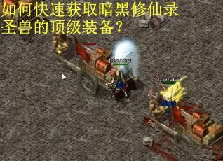 如何快速获取暗黑修仙录圣兽的顶级装备？