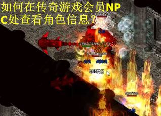 如何在传奇游戏会员NPC处查看角色信息？