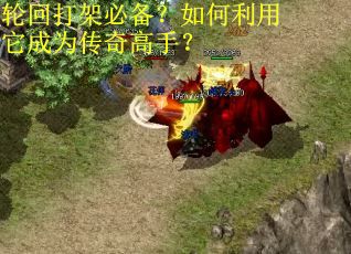 轮回打架必备？如何利用它成为传奇高手？