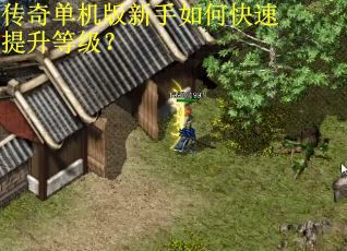 传奇单机版新手如何快速提升等级？